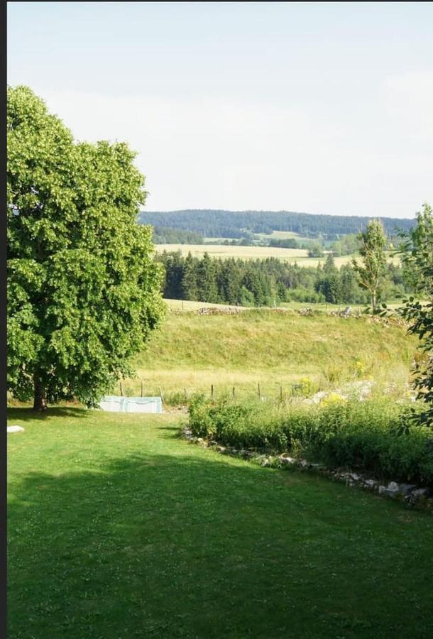 Vakantiehuis For Geeks Le Belieu